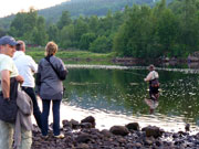 in Fannefjord, Norway: inflow of river Oselva